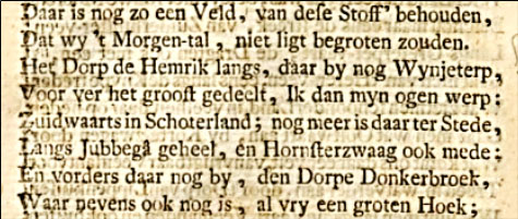 detail daar is nog zoo een veld hoornsterzwaag