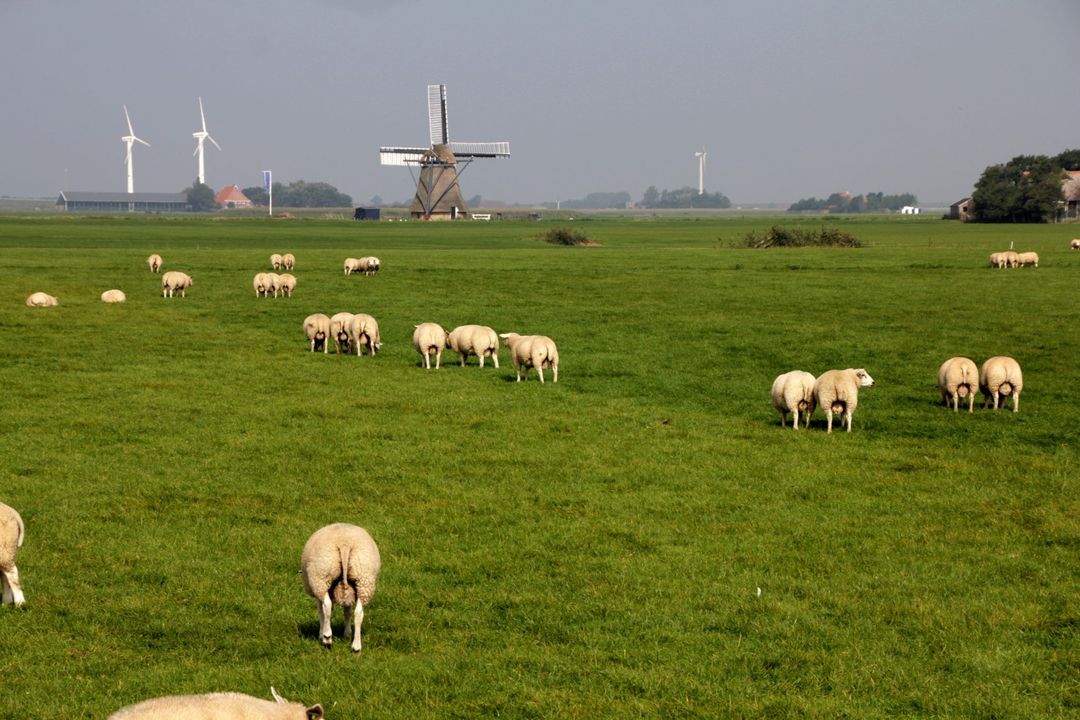 gabriel vriens fries landchap feanster erfgoed